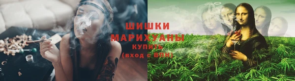 PSILOCYBIN Арсеньев