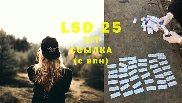 PSILOCYBIN Арсеньев