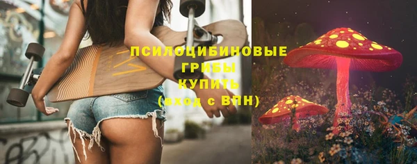 PSILOCYBIN Арсеньев