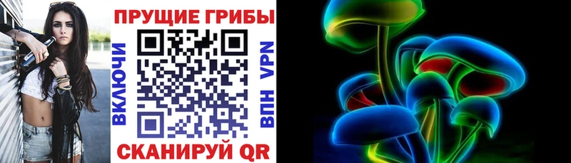 где купить наркоту  OMG ссылки  Псилоцибиновые грибы Psilocybine cubensis  Инта 
